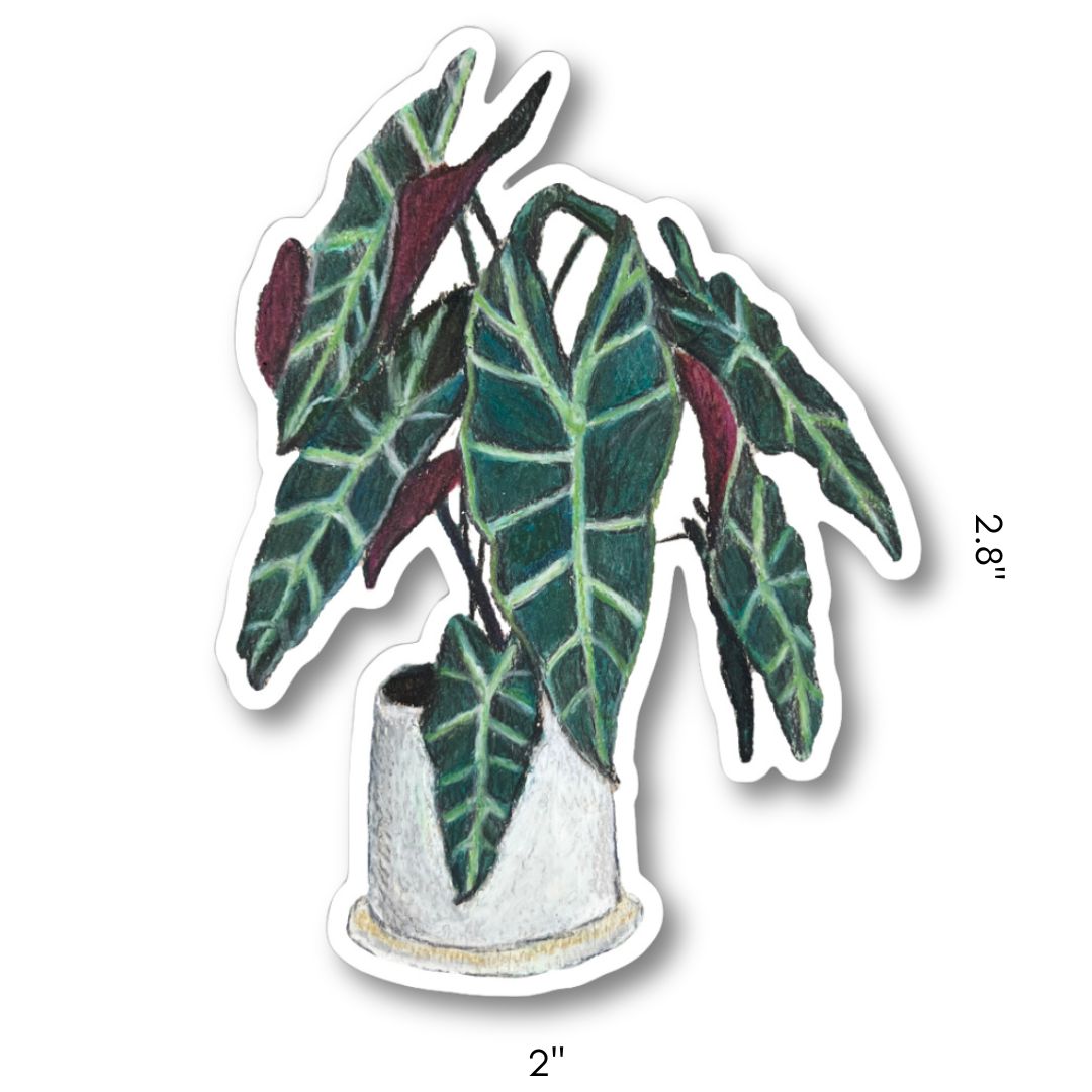 PLANT STICKERS