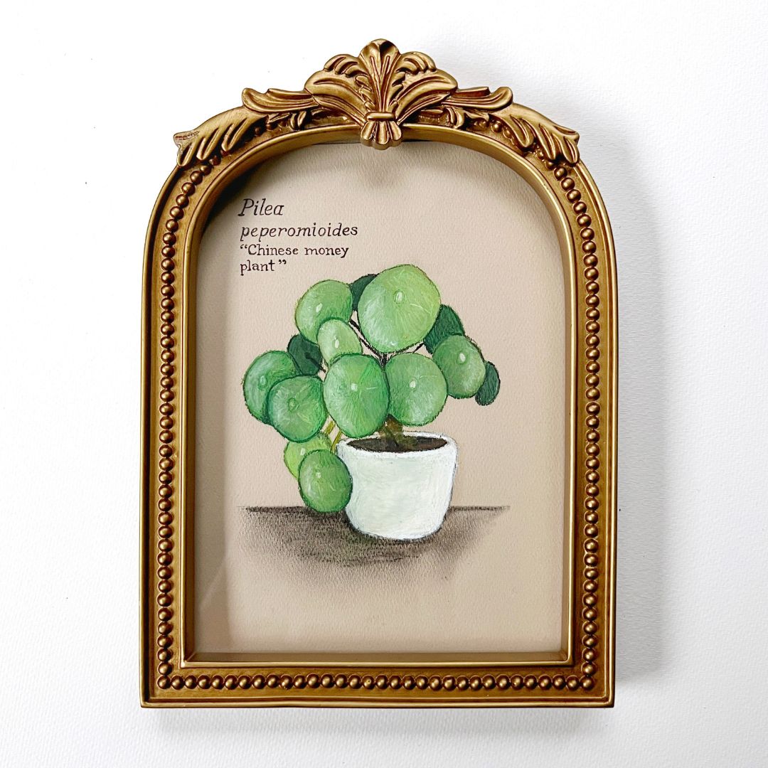 PILEA PEPEROMIODES: ORIGINAL OIL PASTEL