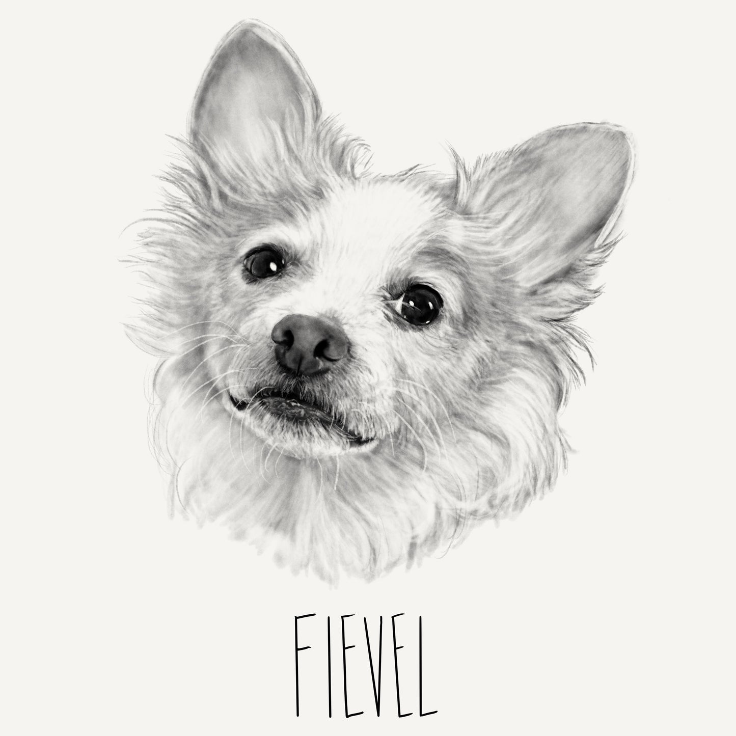 PET PORTRAIT