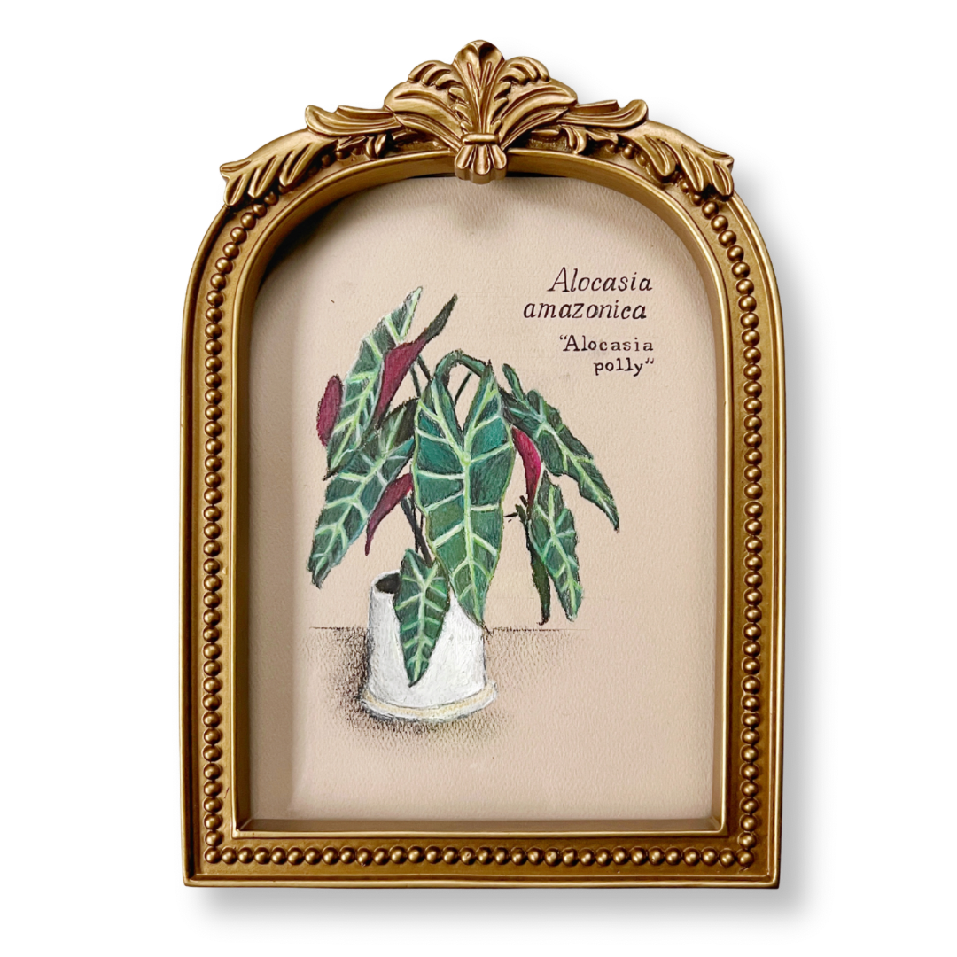 ALOCASIA POLLY | ORIGINAL OIL PASTEL