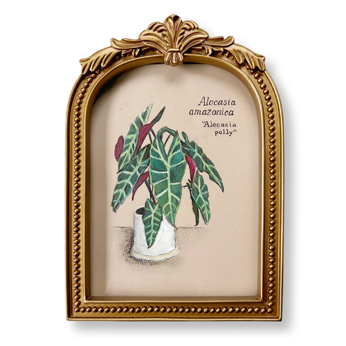 ALOCASIA POLLY | ORIGINAL OIL PASTEL