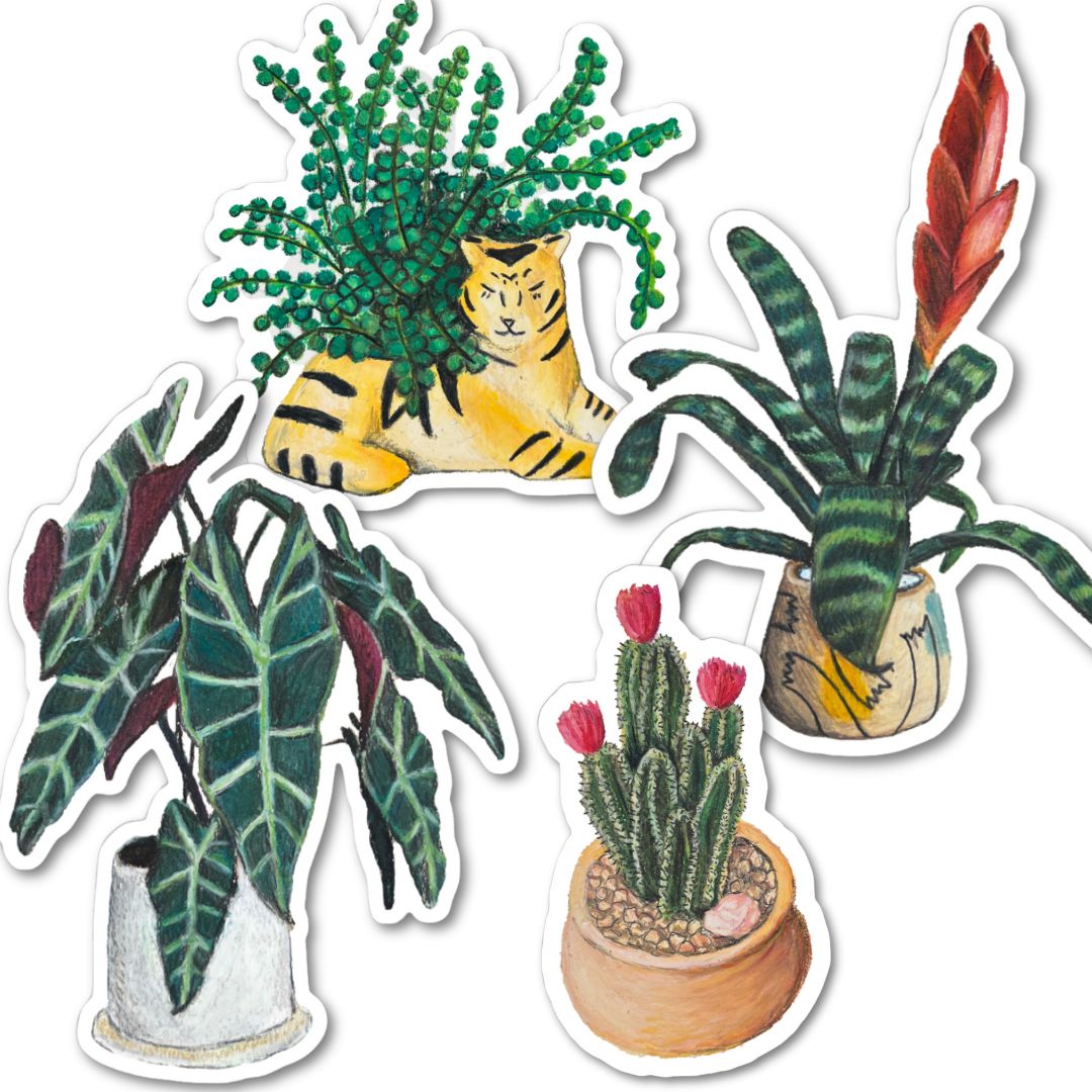 PLANTS STICKER PACK - SET 1