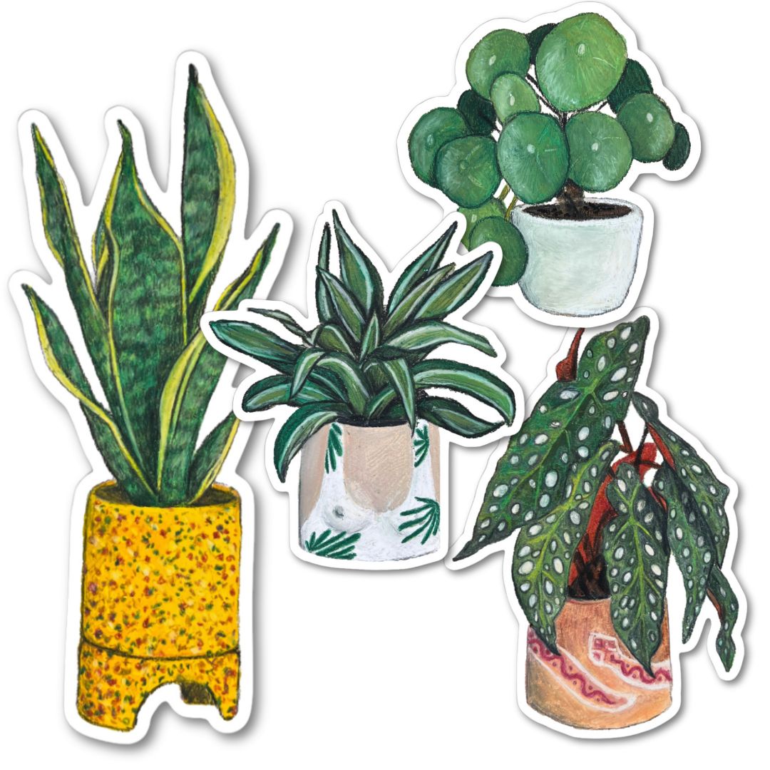 PLANTS STICKER PACK - MEGA BUNDLE