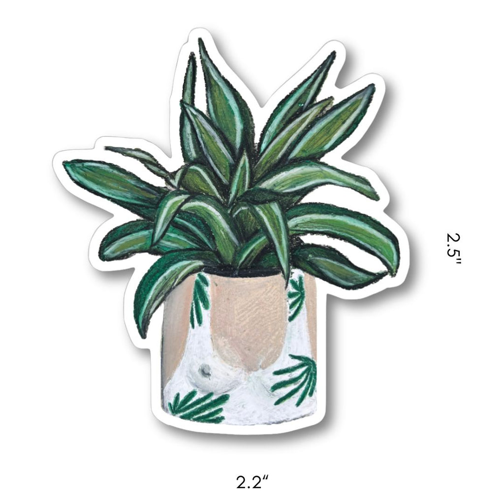 DRACAENA STICKER