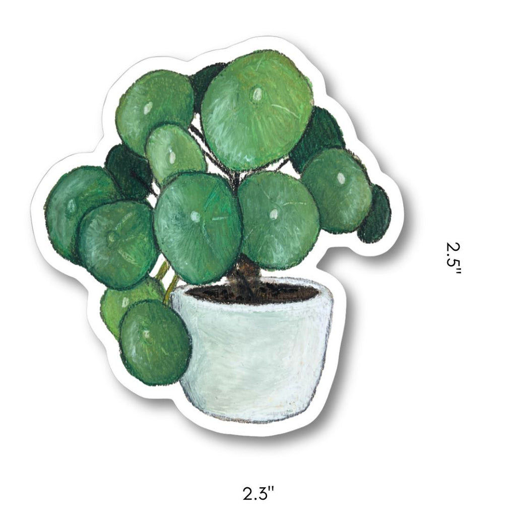 PILEA STICKER