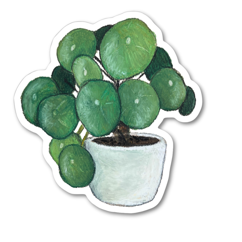 PILEA STICKER