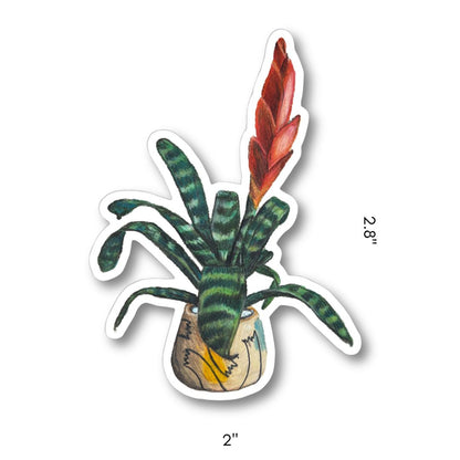 PLANTS STICKER PACK - SET 1